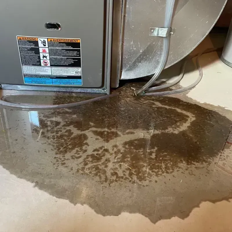 Appliance Leak Cleanup in Maywood, IL